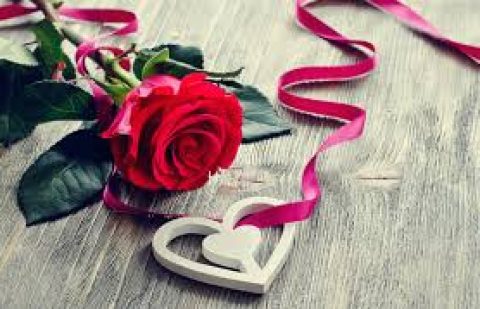 Alaa Blog 